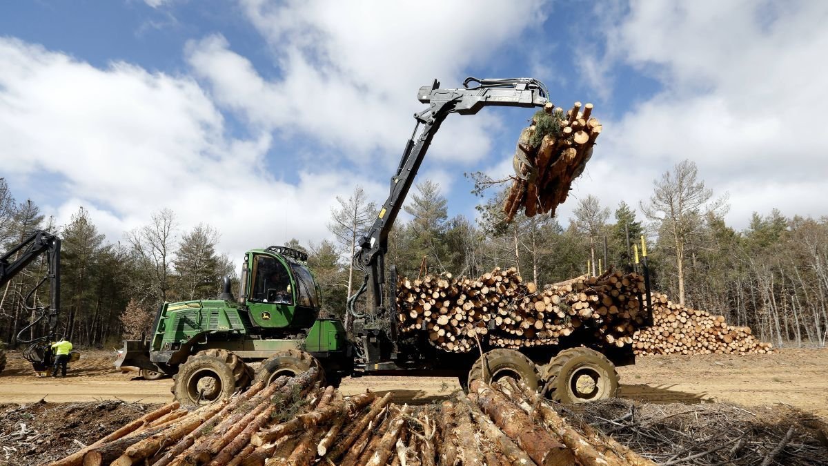 El centro se abastecerá de biomasa forestal de autónomos y pequeñas empresas. marciano pérez