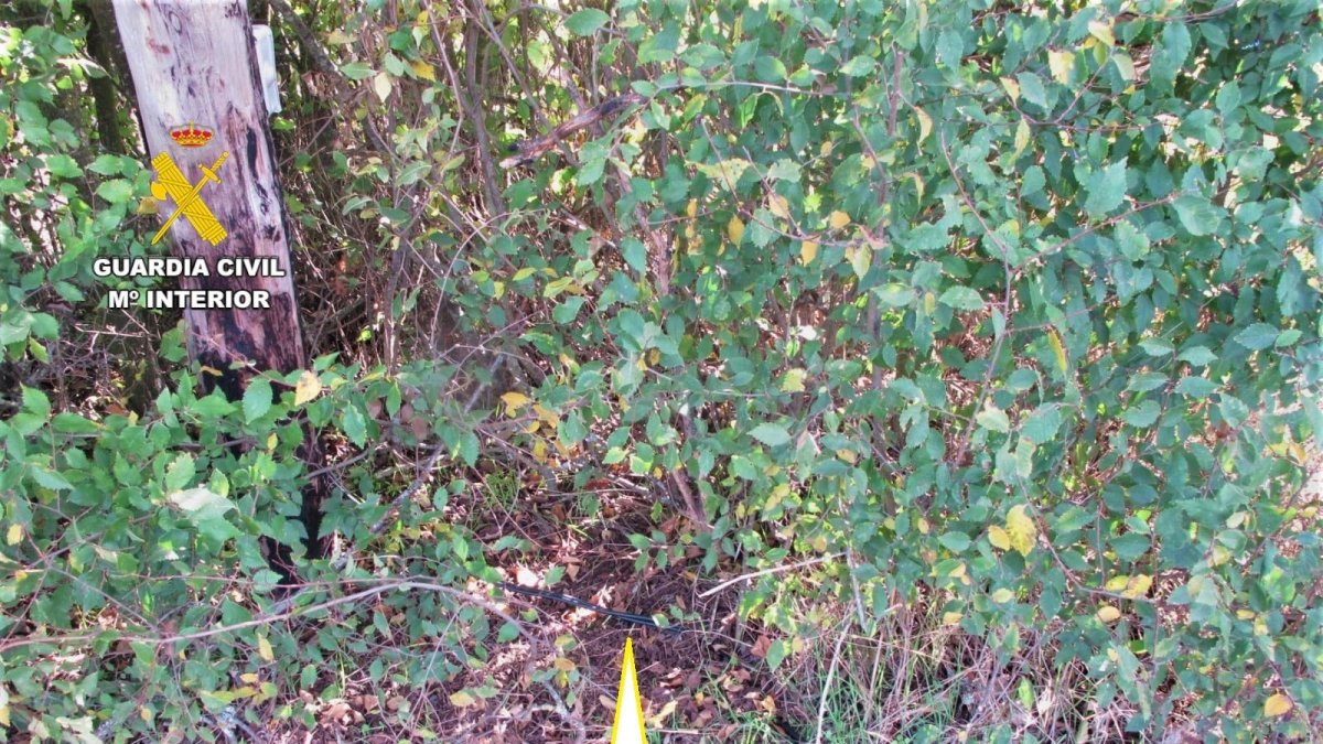 Imagen de uno de los enganches de la luz.