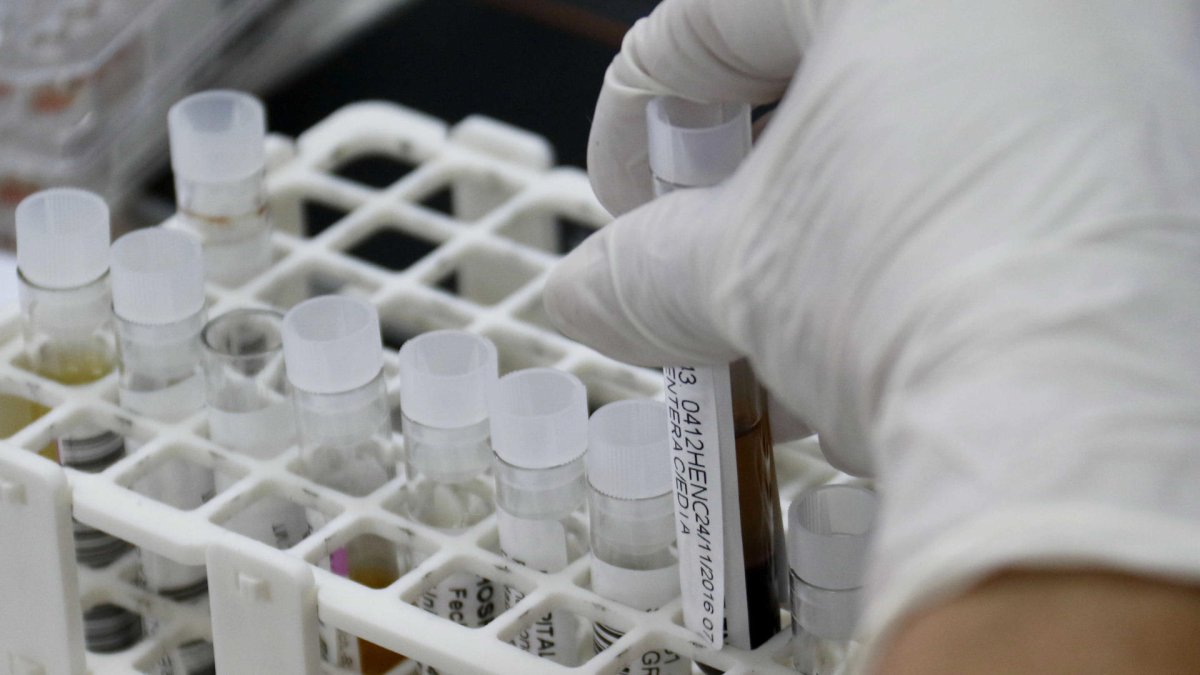 Fotografía de archivo de varias muestras de sangre en un laboratorio. EFE/Andrés Cristaldo Benítez