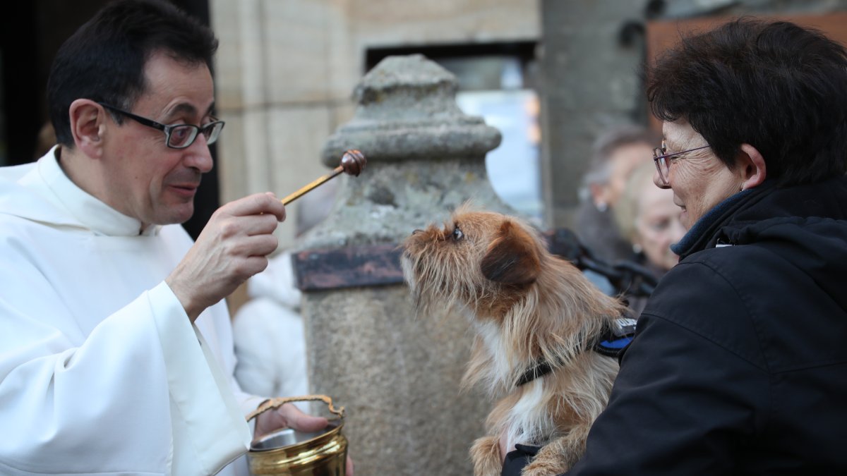 Un perro de compañía a punto de ser bendecido en Cacabelos.