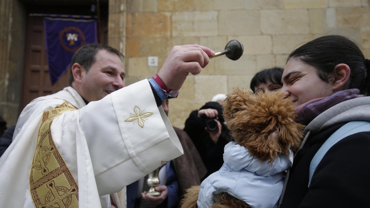 Bendición de los animales por San Antón en San Marcelo.