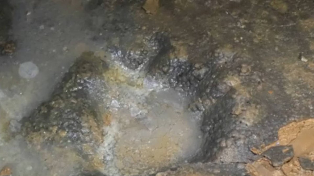 Una de las 16 huellas de osos cavernarios halladas fosilizadas en una cueva de Palencia.