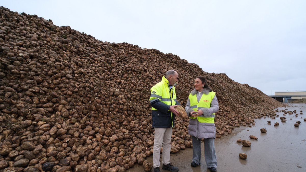 Jesús Posadas y María González Corral, en las instalaciones de ACOR en Olmedo.