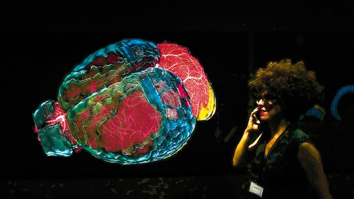 La exposición ‘Cerebros’ en el Centro de Cultura Contemporánea de Barcelona en una foto de archivo.