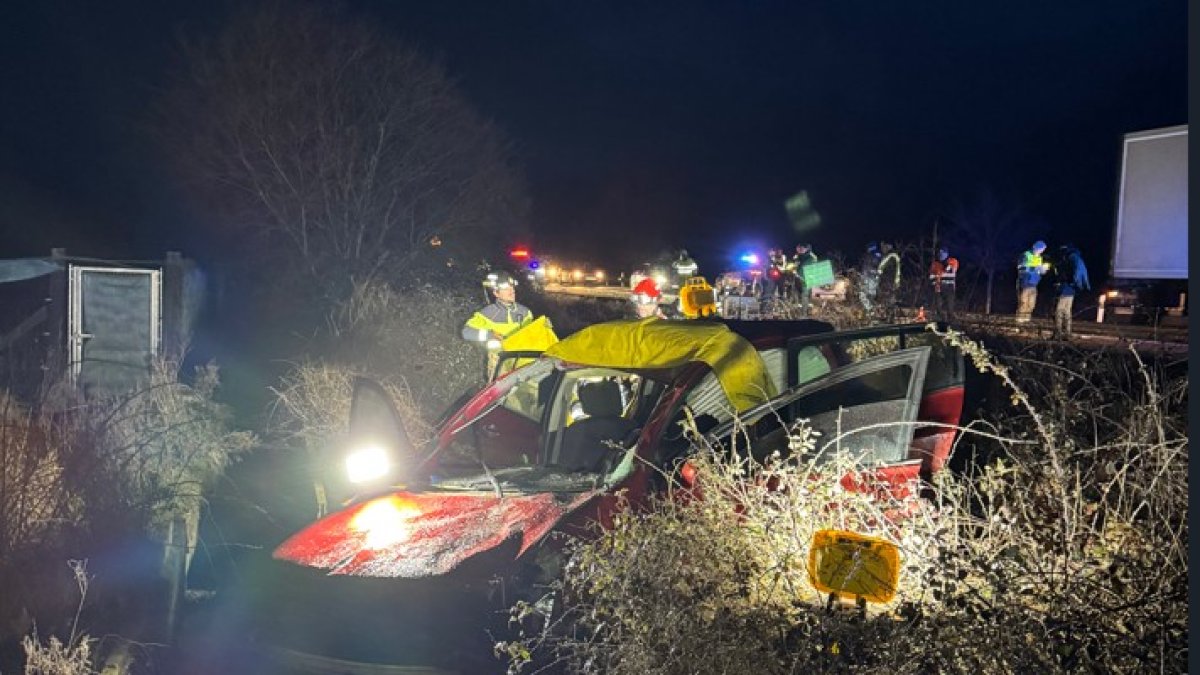 Las fotos del accidente de tráfico en el que se atropelló a un caballo