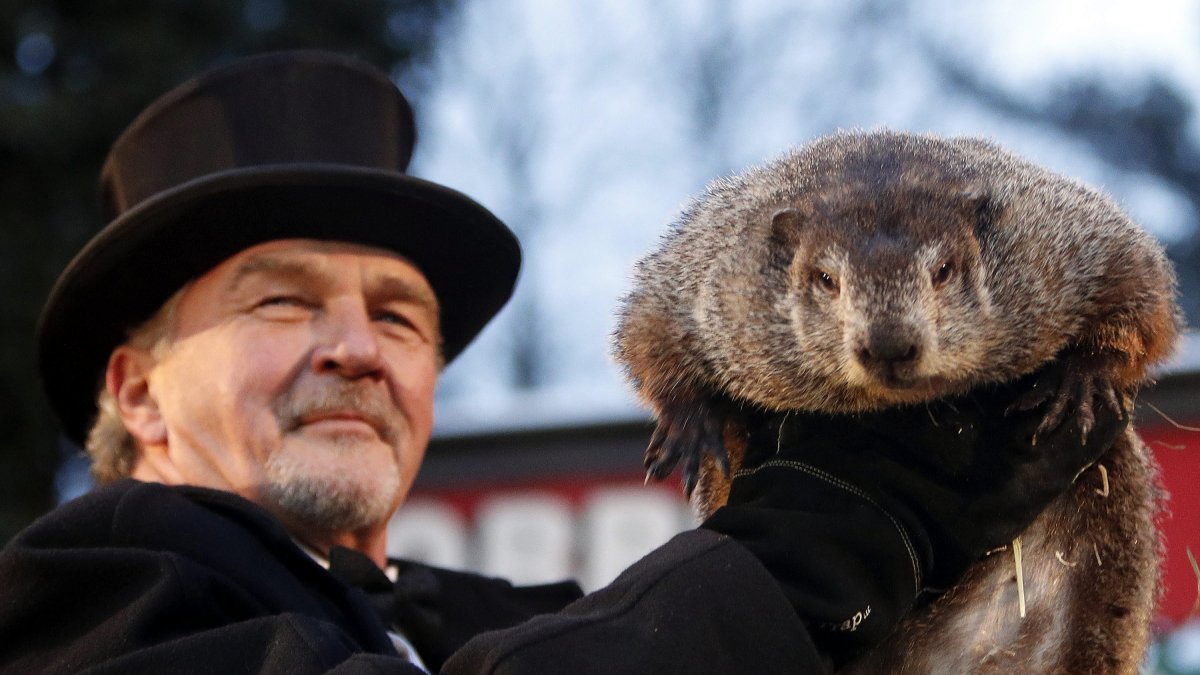 Fotografía de archivo del 2 de febrero de 2017 de un miembro del Club de la Marmota sostieniendo a la marmota Phil, el animal meteorólogo más famoso del mundo.