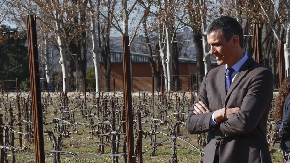 Pedro Sánchez en una explotación agrícola en San Fernando de Henares, en Madrid, el jueves.