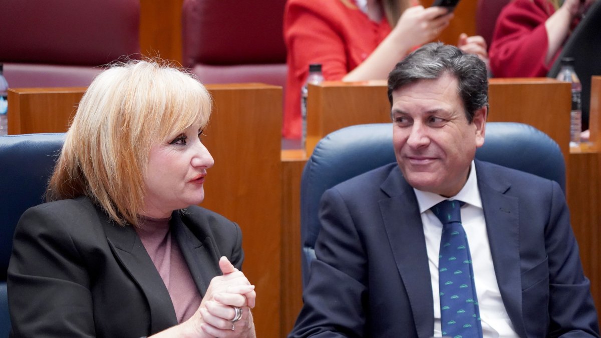Leticia Pérez y Fernández Carriedo, este martes, en el Pleno de las Cortes.