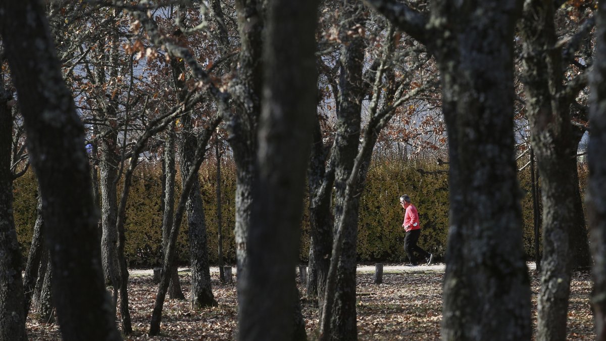 Paseantes en un monte de la provincia.