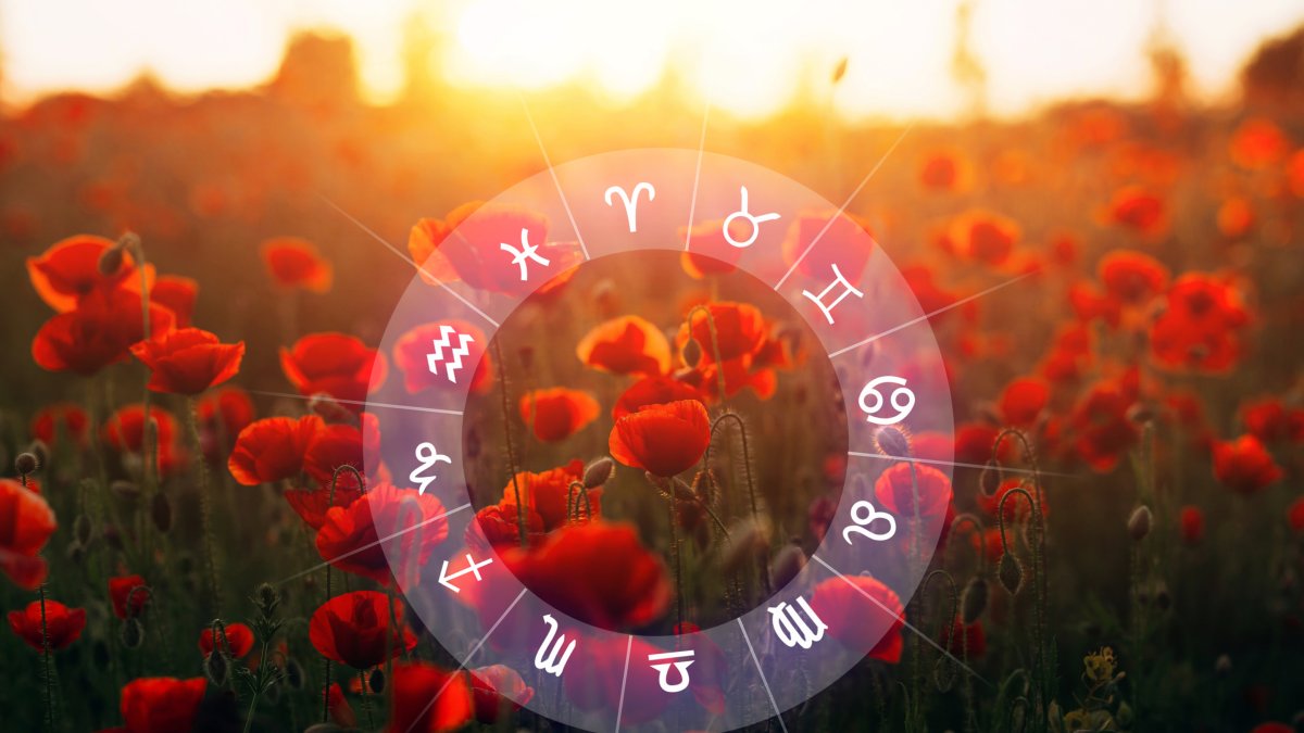 Los doce signos zodiacales superpuestos sobre un campo de flores rojas.