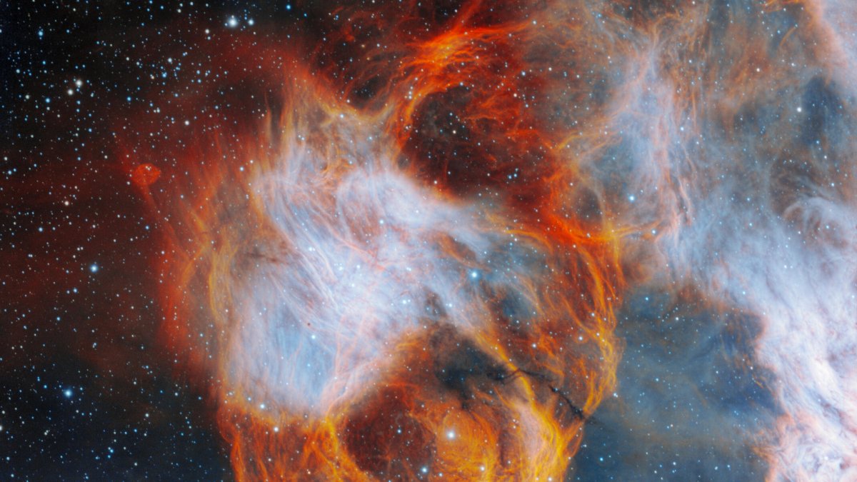 la nebulosa que encierra a NGC 2040 se asemeja a una vibrante rosa en esta imagen captada por el telescopio Gemini Sur, en Chile. Observatorio Internacional Gemini/NOIRLab/NSF/AURA.