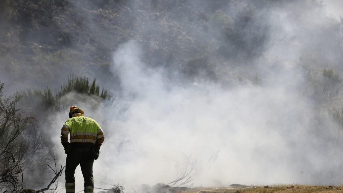 Parte del operativo de la Junta en el incendio del Villar de SantIago.