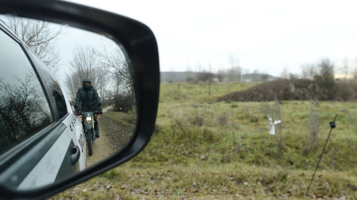 Agentes del Seprona son los responsables de la investigación