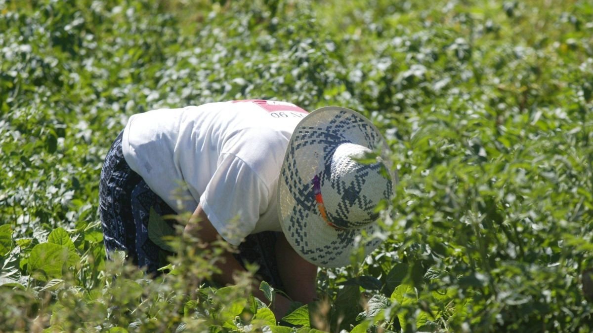 Un proyecto NaturSmart fomenta el empleo de la mujer en zonas rurales