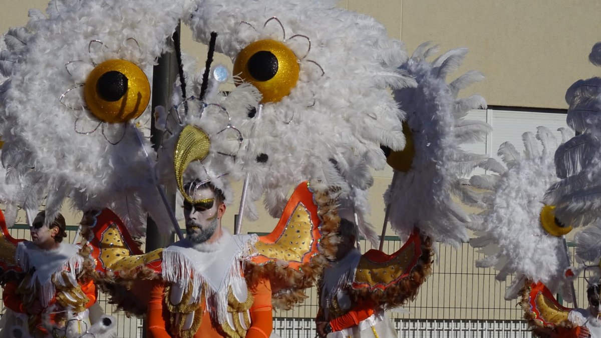 El Carnaval de Toreno en imagen de archivo.