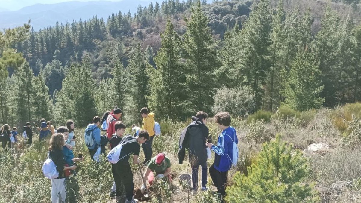 Estudiantes participantes en la jornada de plantación en el Pajariel.