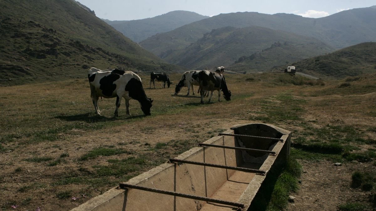 Un abrevadero en la comarca de La Tercia, en León.