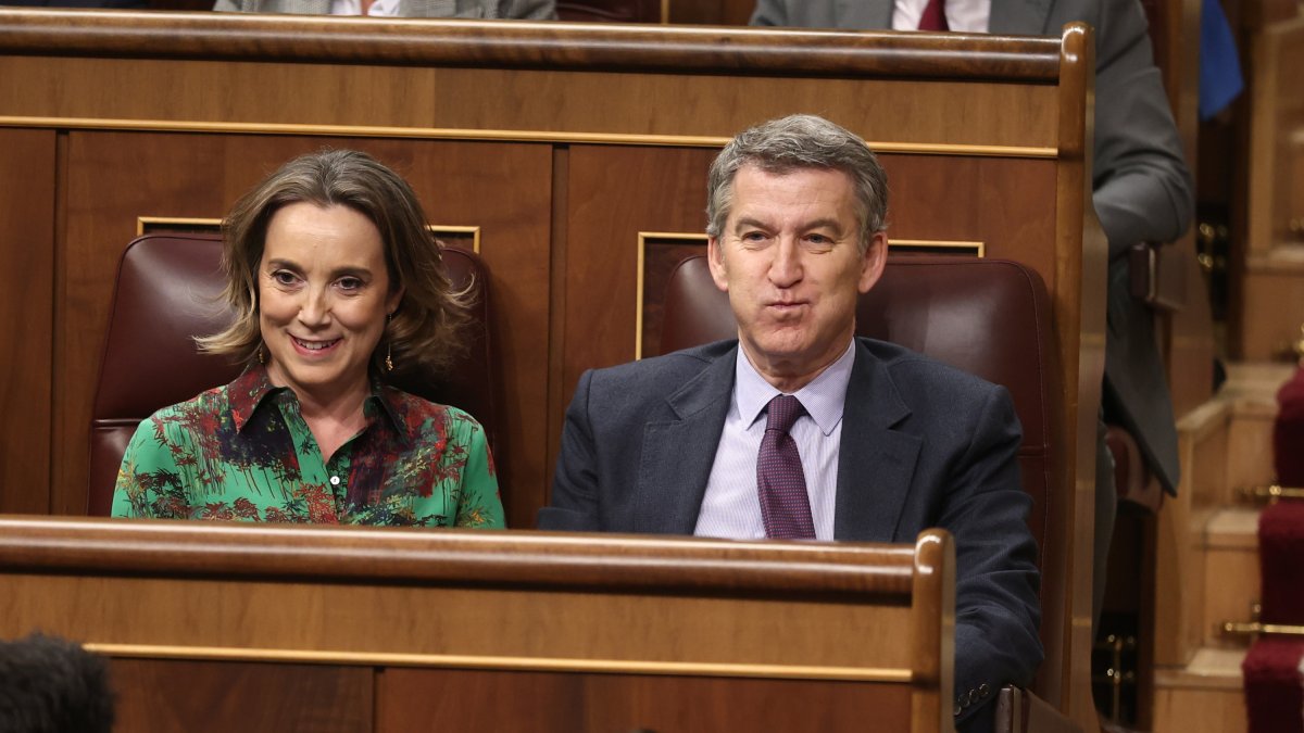 La secretaria general del PP, Cuca Gamarra, y el presidente del partido, Allberto Núñez Feijóo, durante un pleno en el Congreso