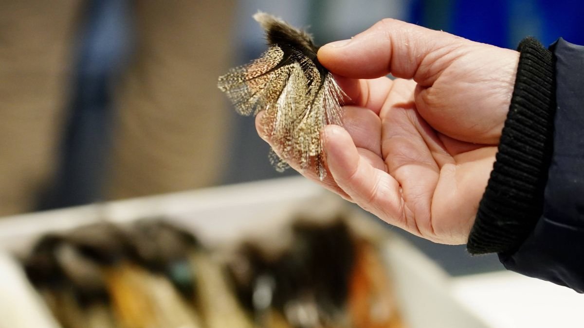 Una muestra de artes de pesca.