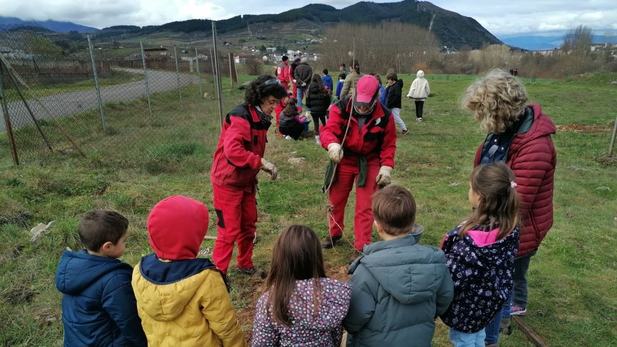 Escolares y monitores, en plena plantación en la localidad de Campo.