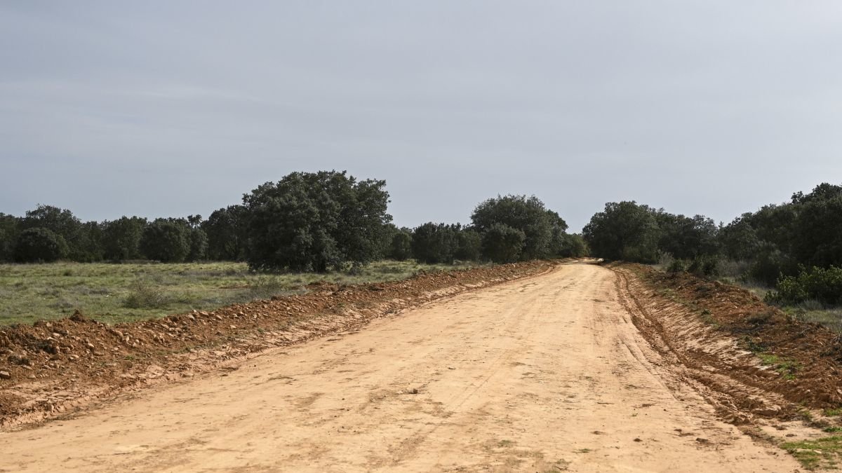Calzada Romana de Castrocalbón, destruida en 2023 por maquinaria pesada.