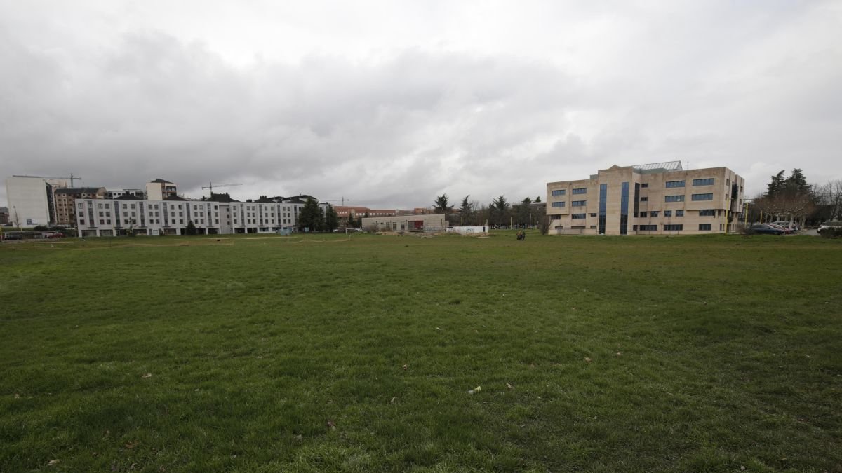 La parcela en la que se construirá la facultad, detrás de la Biblioteca San Isidoro.