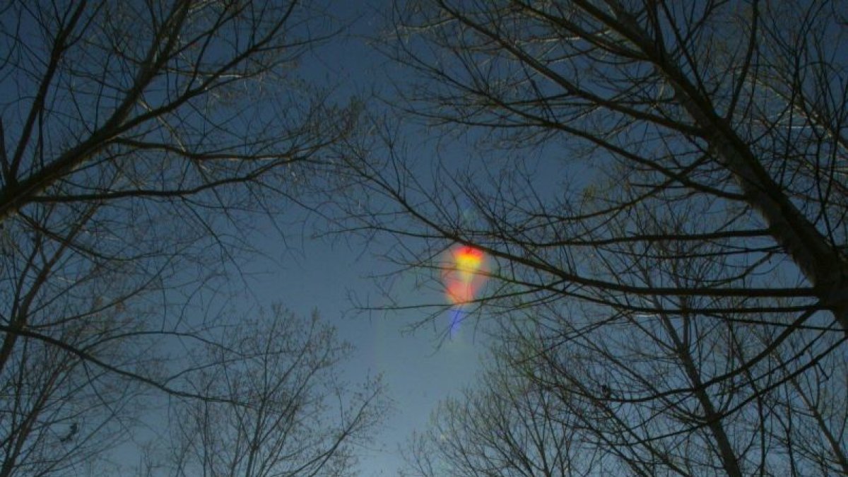 Chopera en Valencia de Don Juan.