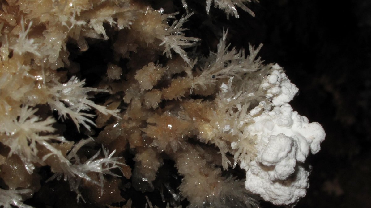 Cueva de Valdelajo en Sahelices de Sabero.