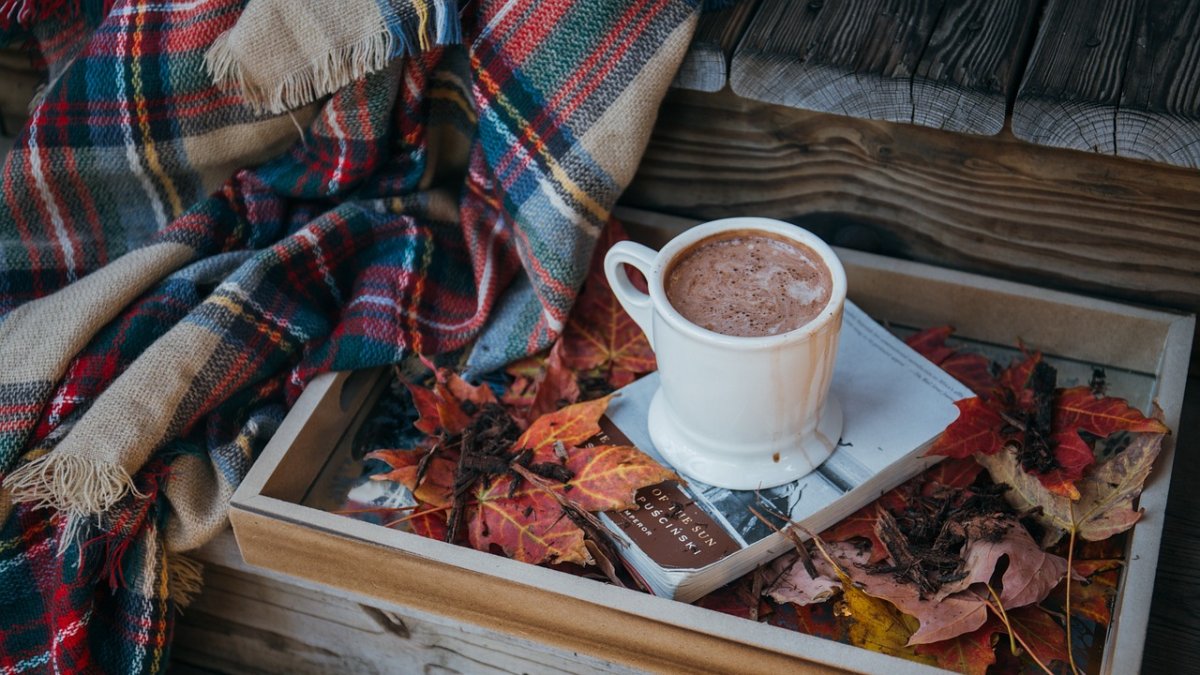 Chocolate a la taza