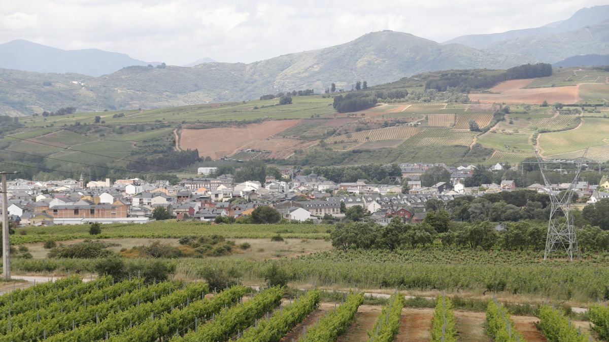 Viñedos cercanos a Cacabelos, donde se ubica el chalé.