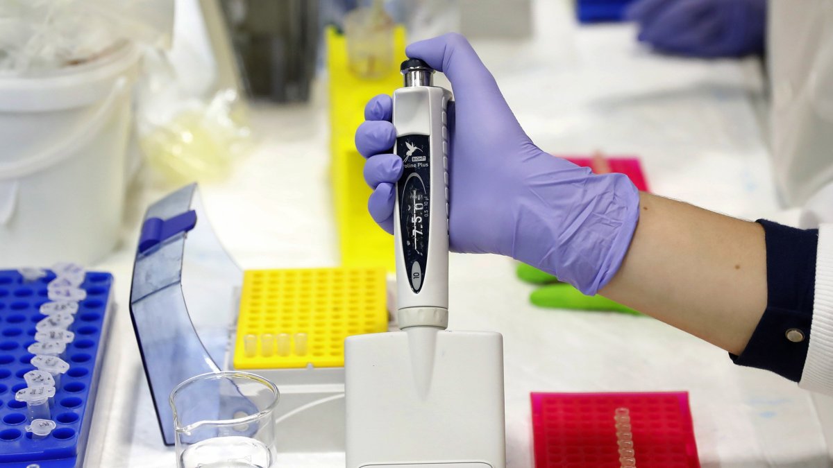 Investigadores del Hospital Clínic-IDIBAPS de Barcelona han desarrollado un método de cribado no invasivo que mejora la detección precoz del cáncer de colon.