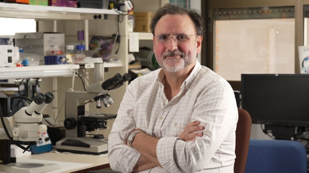 Fernando de Castro, en una foto de archivo en su laboratorio en el Instituto Cajal del CSIC.
