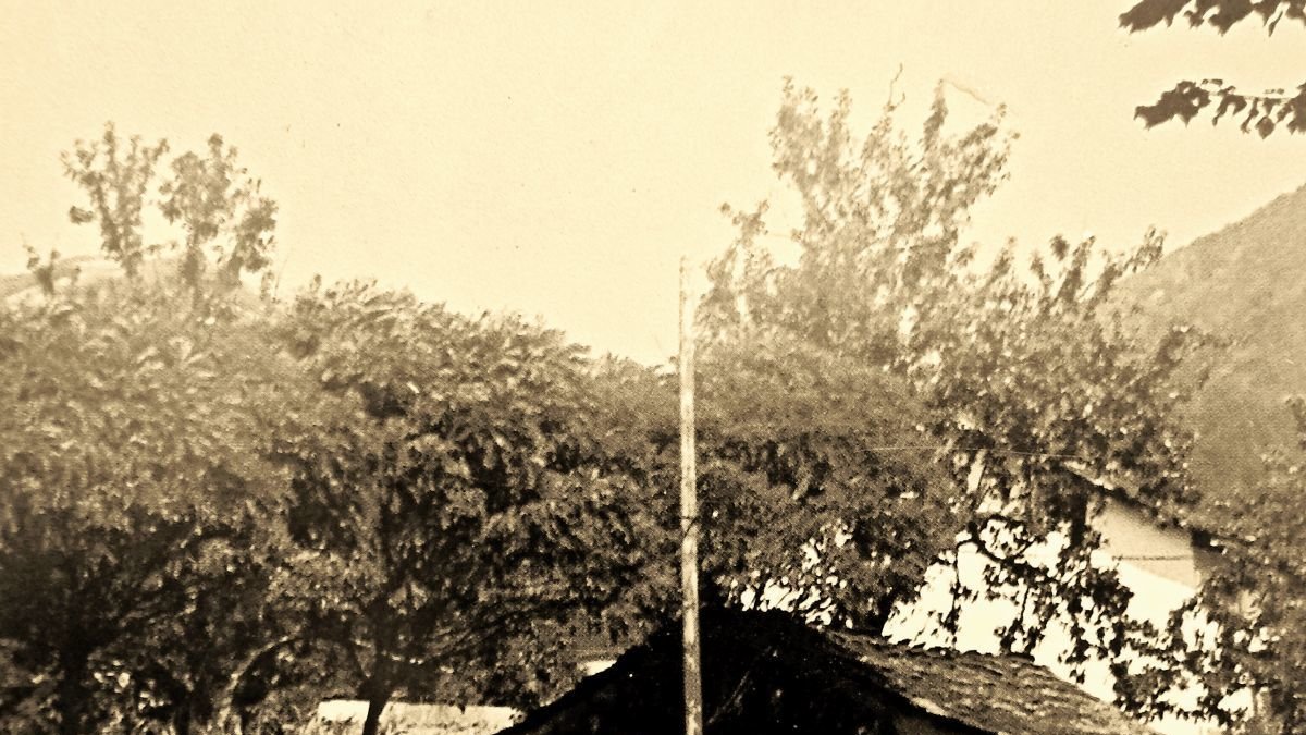 Un potro junto a la última fragua en Palacios del Sil (1985).