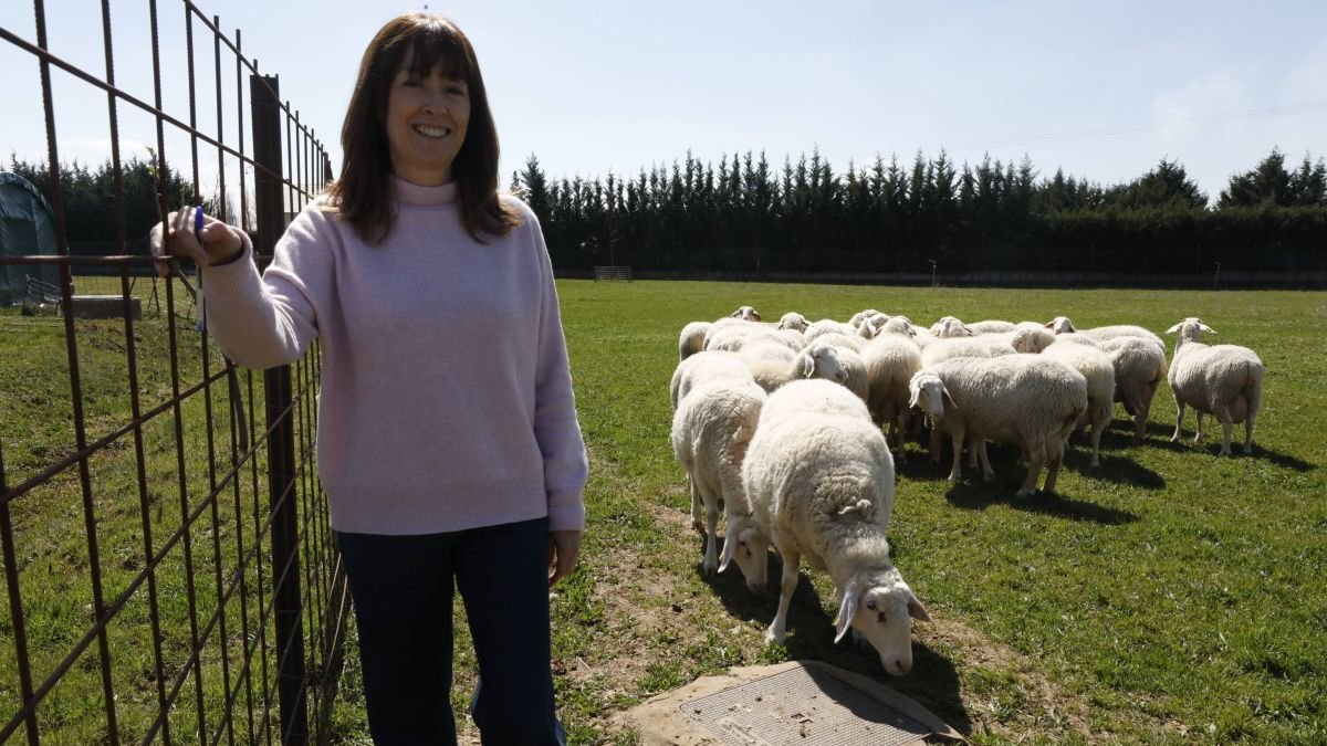 Pilar de Frutos en una de las praderas del IGM CSIC-ULE con un hatajo de ovejas de la finca de investigación de Grulleros.