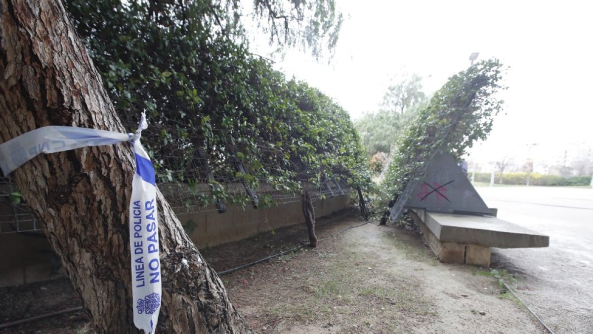 El cadáver del bebé de ocho meses fue hallado este domingo en un parque junto a un banco.EFE