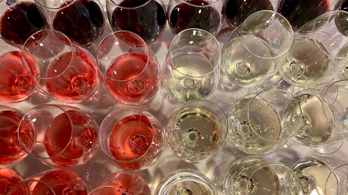 Vinos de la DO León.