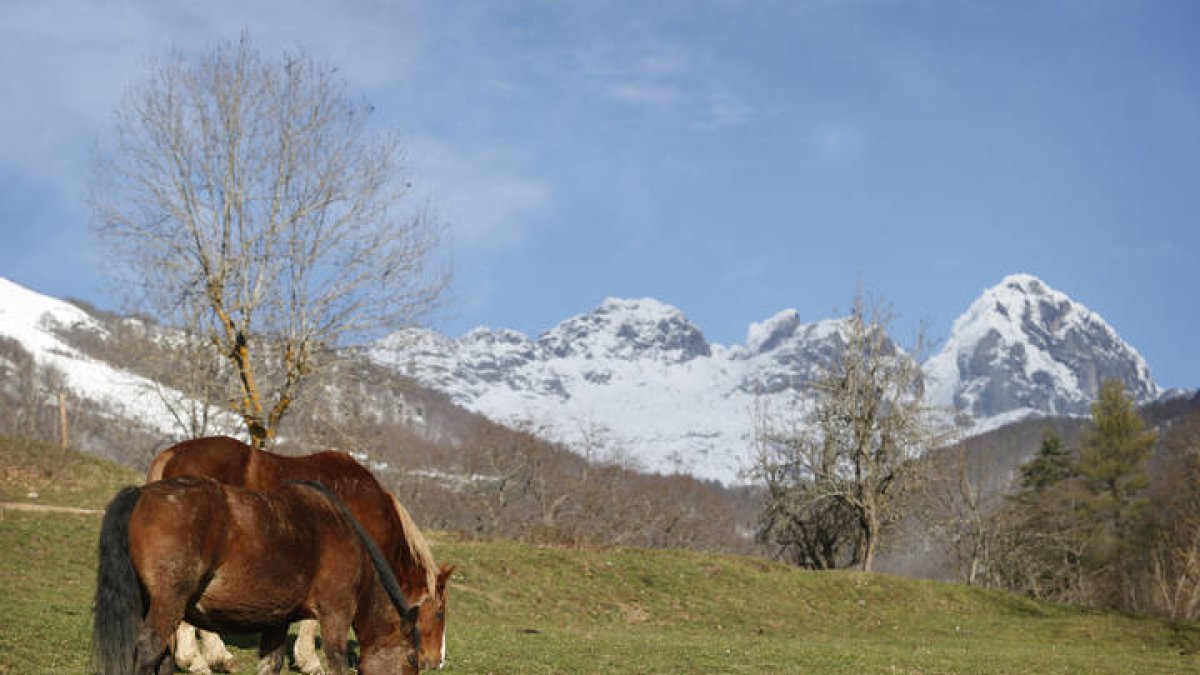 Valle de Sajambre.
