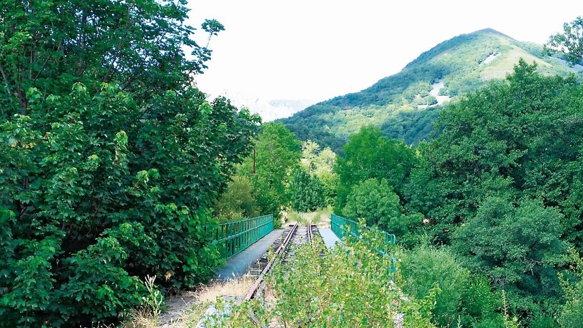 La vías del antiguo tren se llenaron de maleza. R. G.-QUEVEDO