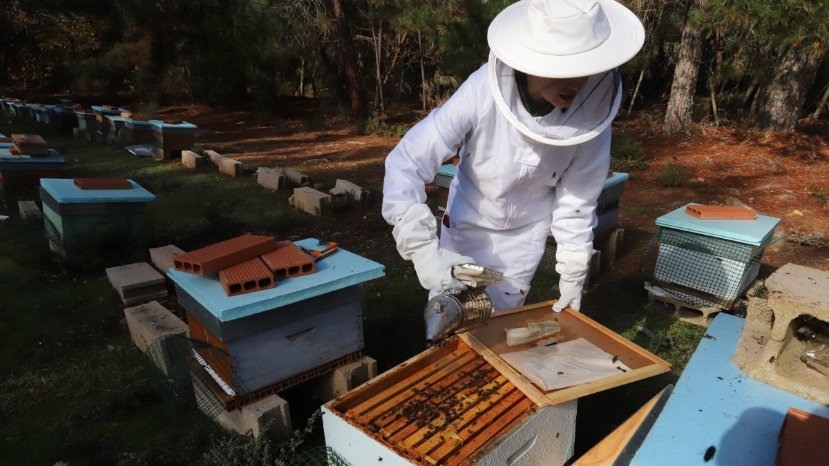 El proyecto está financiado por la Fundación Prima y la RBAB.