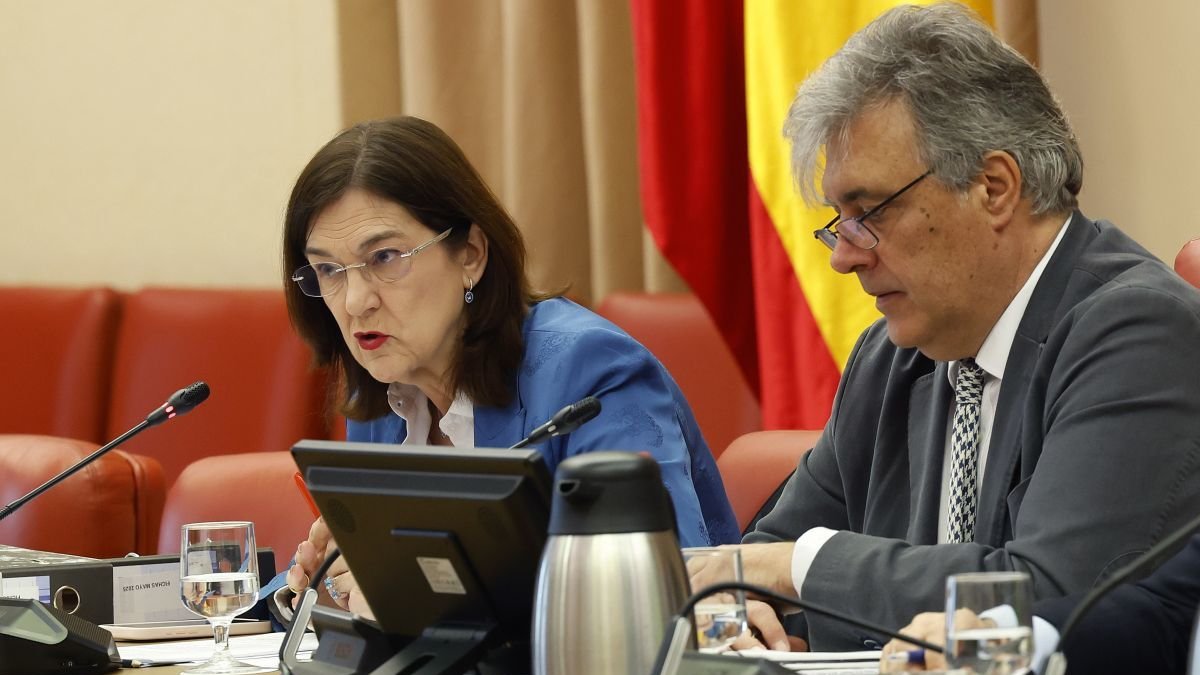 La presidenta de la Comisión Nacional del Mercado de la Competencia, Cani Fernández.