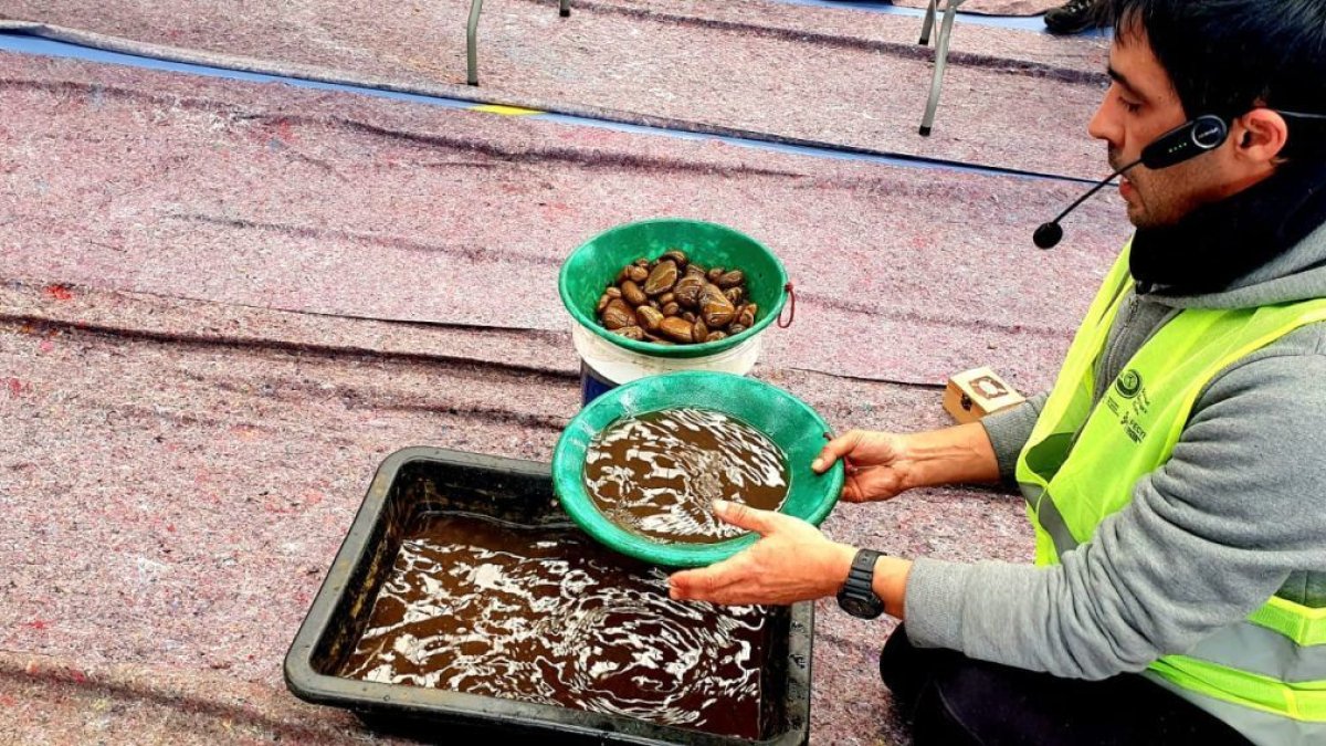 Muestra de bateo incluida en la jornada.