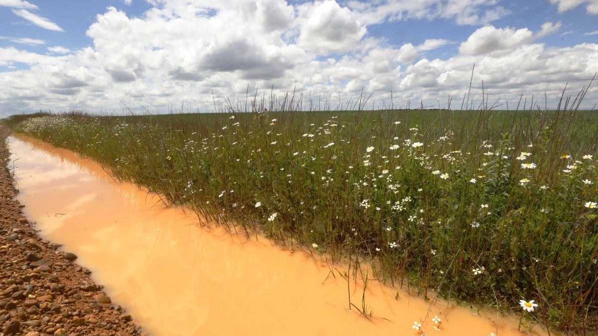 Tierras anegadas en la vega del Esla.