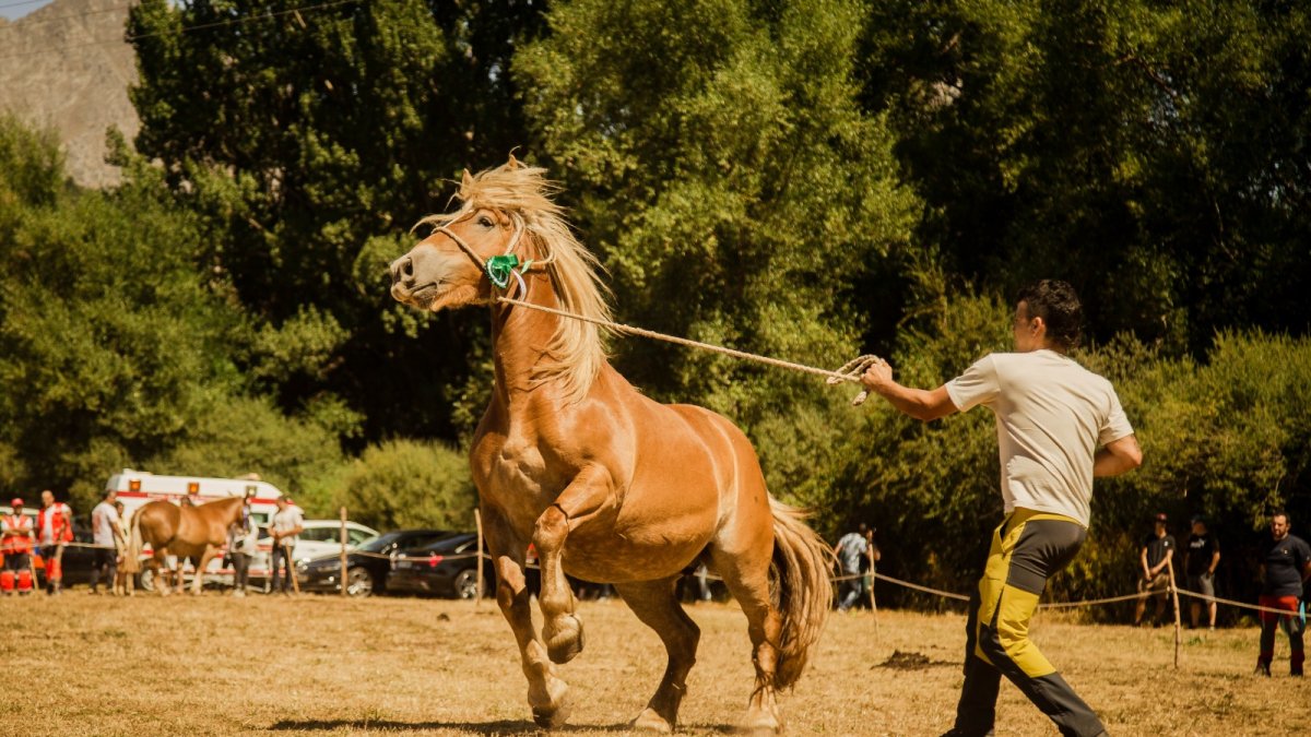 La feria equina es uno de los eventos más importantes del verano.
