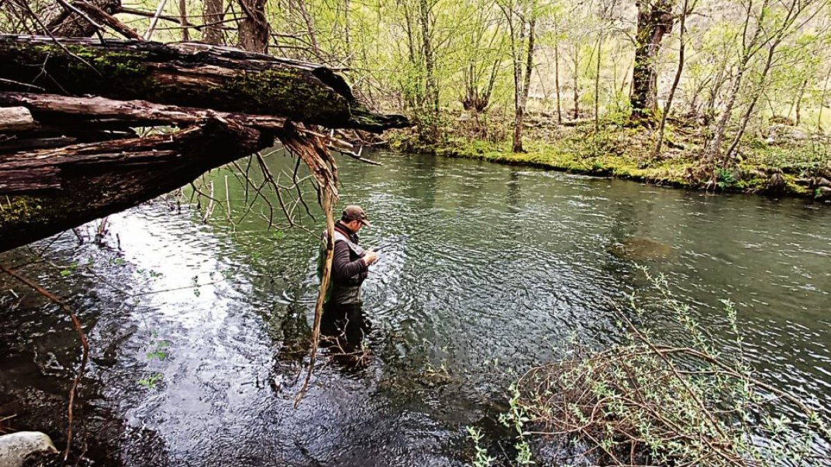 Los ríos, con caudales altos, no ofrecen las mejores condiciones para la pesca a día de hoy.