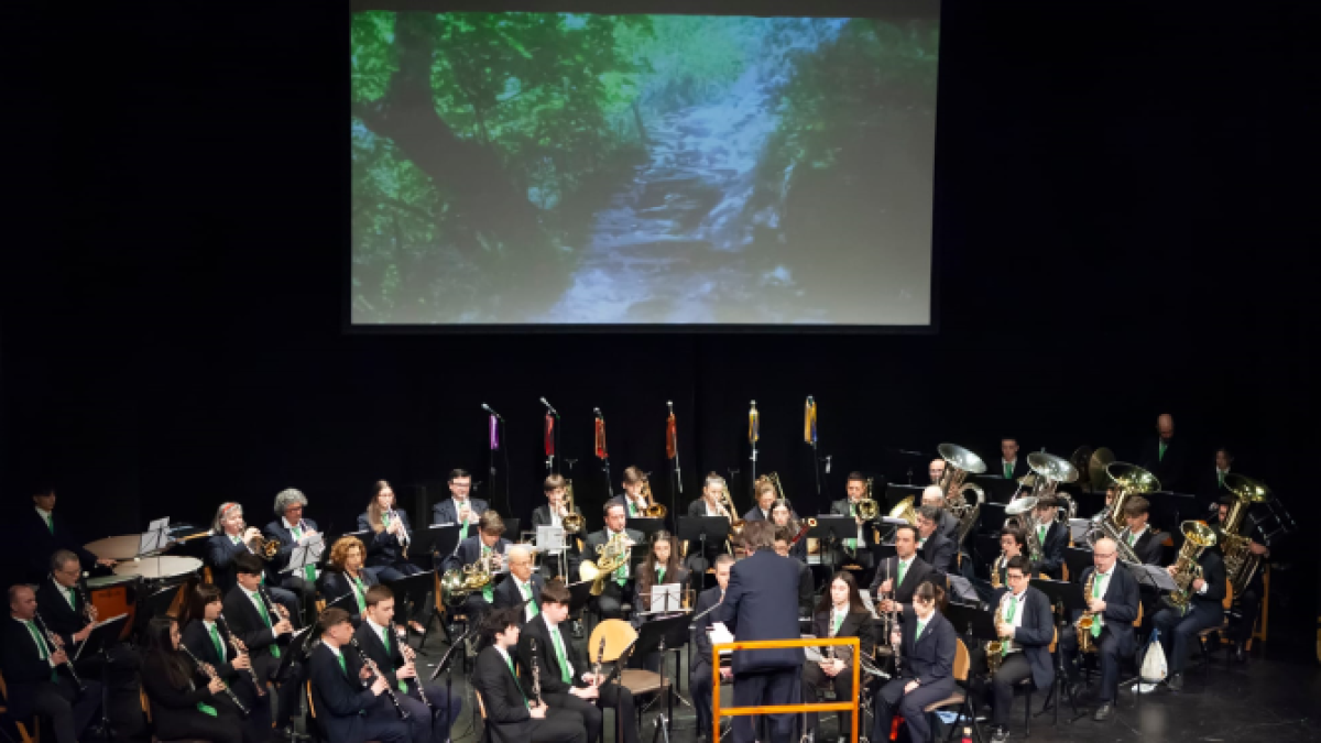 Concierto de bandas de música