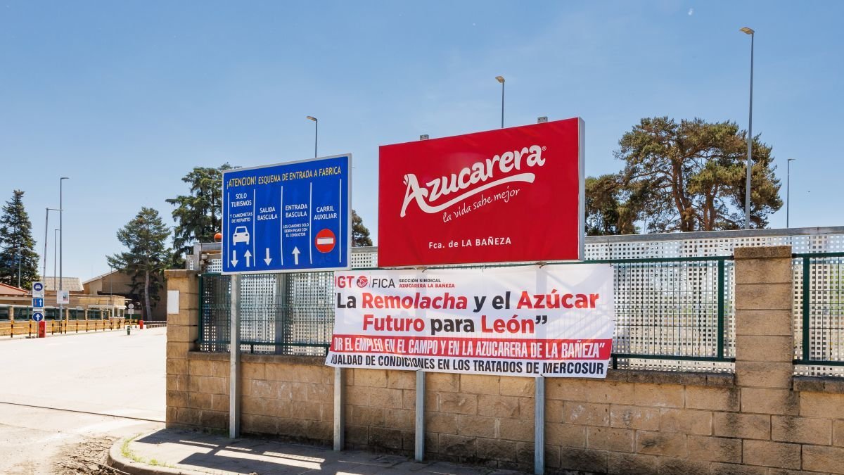 Los rendimientos de la remolacha han caído a niveles de hace 30 años