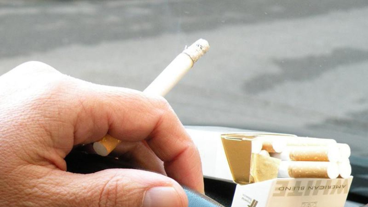 Archivo - Tabaco.