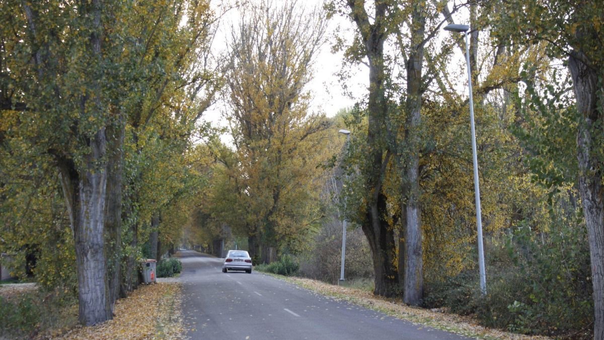 Carretera entre Gradefes y Puente Villarente, en una imagen de archivo.
