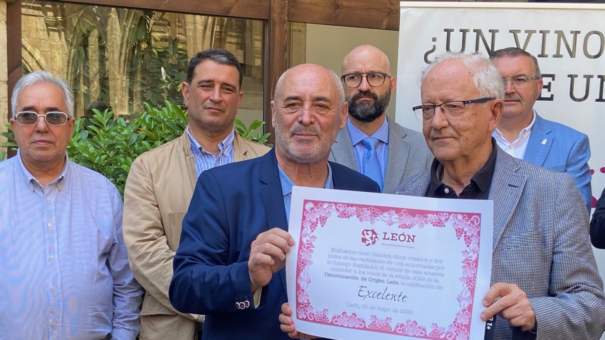 Los vinos de la do león de la añada 2024 alcanzan por octava vez en su historia la calificación de ‘excelente’