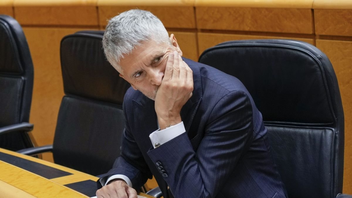 El ministro del Interior, Grande-Marlaska, durante un Pleno del Senado.
